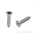 Ryðfrítt stál 304 410 Self Tapping Wood Screw